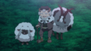 P23 Wooloo y Dubwool.png