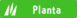 Tipo planta