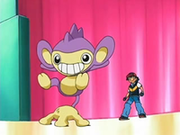 EP480 Aipom (4).png