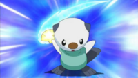 Oshawott usando concha filo.