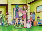 Hoppip