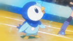 Piplup