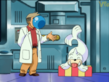 Seel