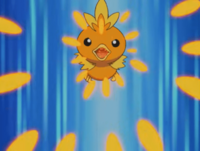 Torchic usando ascuas.