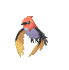 Imagen de Fletchinder en Pokémon Espada y Pokémon Escudo