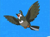 Staravia