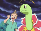 Meganium