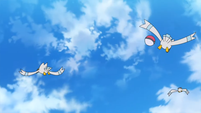 Archivo:EP1120 Wingull.png - WikiDex, la enciclopedia Pokémon