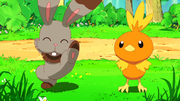 PK21 Bunnelby y Torchic.png