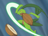 Grovyle usando hoja aguda.