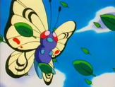 Butterfree