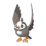 Imagen de Starly macho en Leyendas Pokémon: Z-A