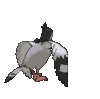 Imagen posterior de Tranquill en Pokémon X, Pokémon Y, Pokémon Rubí Omega, Pokémon Zafiro Alfa, Pokémon Sol, Pokémon Luna, Pokémon Ultrasol y Pokémon Ultraluna