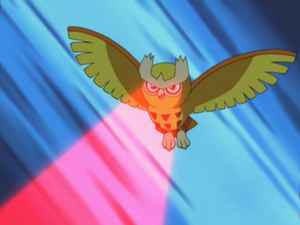 Noctowl usando profecía.