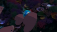 Imagen de Shellder