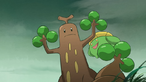 Skiploom