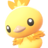 Icono de Torchic hembra variocolor en Leyendas Pokémon: Z-A