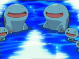 Wooper