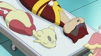 Watchog y Mienshao envenenados.