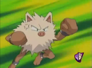 EP350 Primeape.png