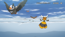 Starly