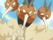EP033 Dodrio (3).png