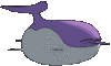 Imagen posterior de Wailord variocolor en Pokémon X, Pokémon Y, Pokémon Rubí Omega, Pokémon Zafiro Alfa, Pokémon Sol, Pokémon Luna, Pokémon Ultrasol y Pokémon Ultraluna