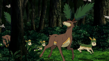 Imagen de Sawsbuck