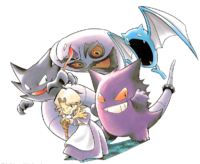 Agatha junto con sus Pokémon en Pocket Monsters Special.