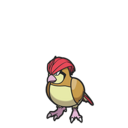 Icono de Pidgeotto en Pokémon Diamante Brillante y Perla Reluciente