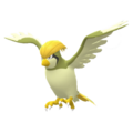 Imagen de Pidgeotto en Pokémon Diamante Brillante y Pokémon Perla Reluciente