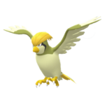 Imagen de Pidgeotto variocolor en Pokémon Diamante Brillante y Pokémon Perla Reluciente