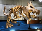 Representación del esqueleto de Tyrantrum