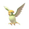 Imagen de Pidgeotto variocolor en Leyendas Pokémon: Z-A