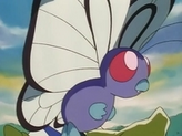 Butterfree