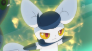 EP896 Meowstic hembra.png