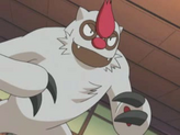 Vigoroth