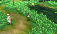 Bosque de Poni Pokémon SL.png