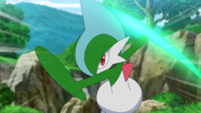 Gallade usando falso tortazo.