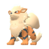 Arcanine DBPR.png