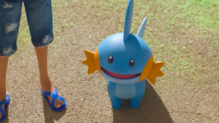 Mudkip