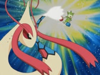 Roselia siendo derrotado por Milotic.