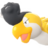 Squawkabilly amarillo