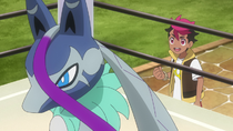 Mega-Lucario Z y Rod combatiendo juntos.