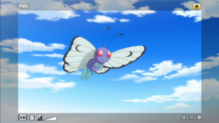 Butterfree