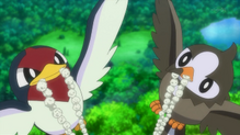 Starly