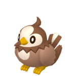 Starly