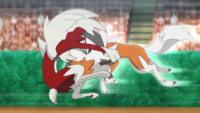 Lycanroc de Ash usando acelerroca/roca veloz.