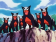 Houndour