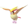 Pidgeot